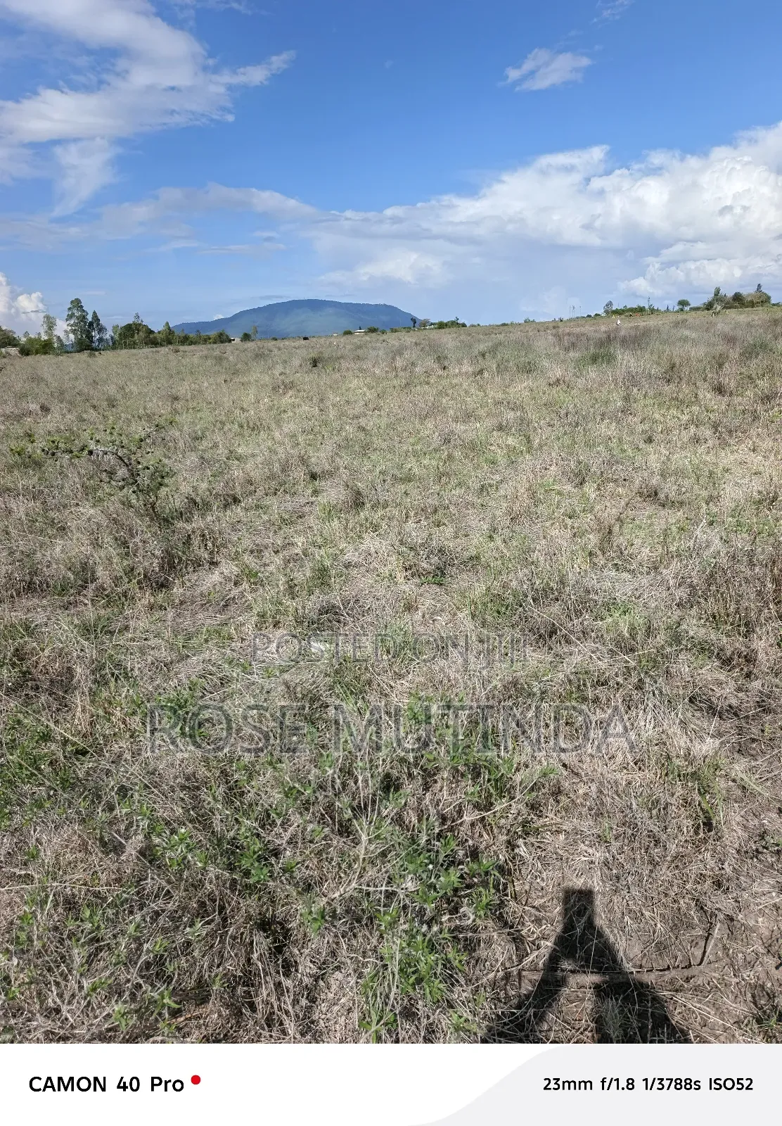 4acres at Misuuni