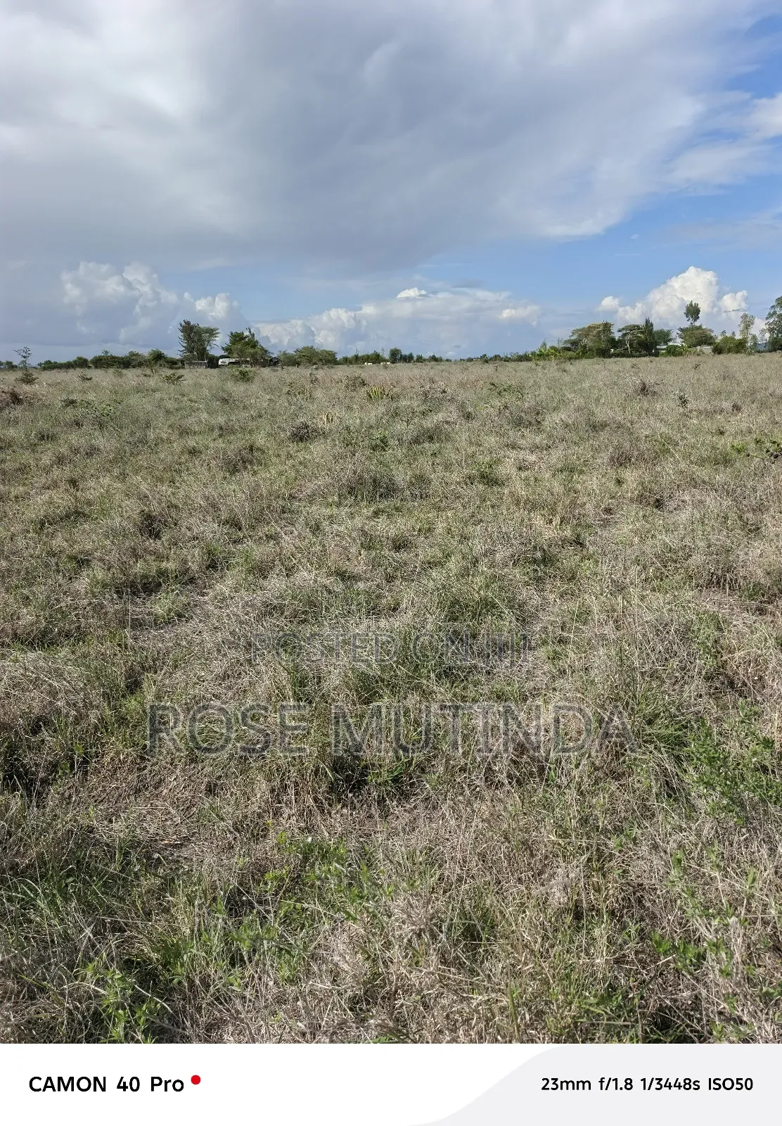 4acres at Misuuni