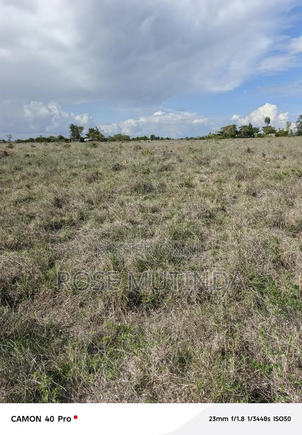 4acres at Misuuni - thumbnail 8