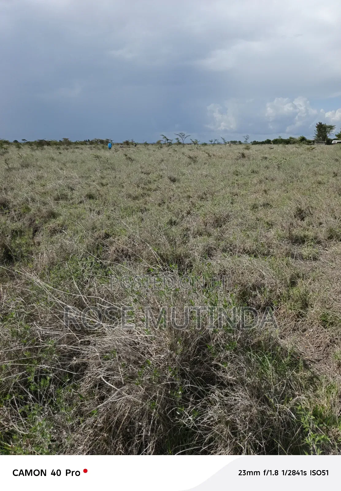 4acres at Misuuni
