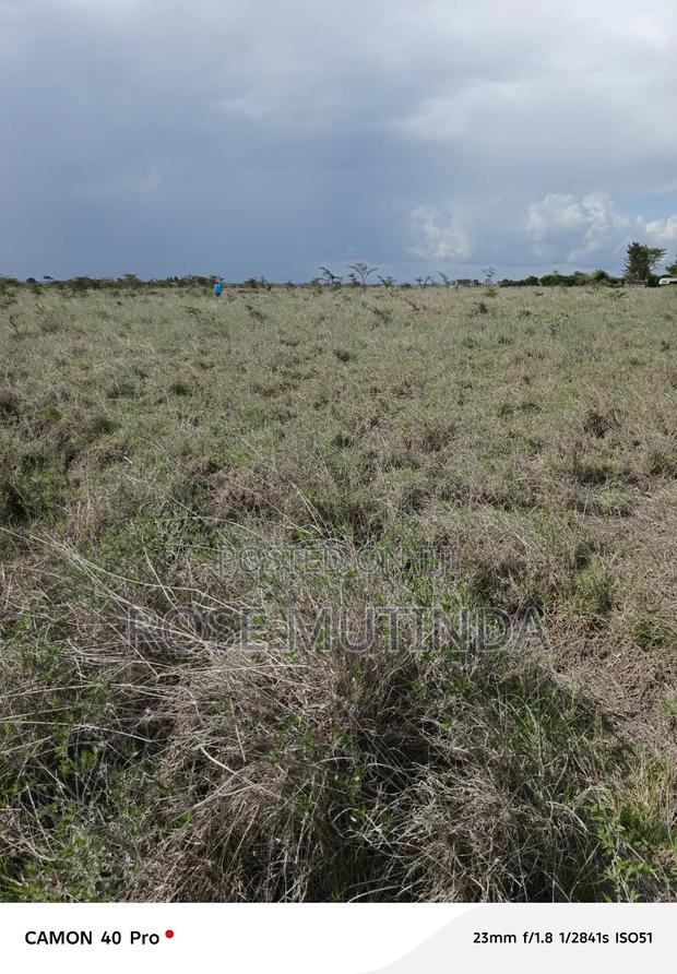 4acres at Misuuni - thumbnail 9