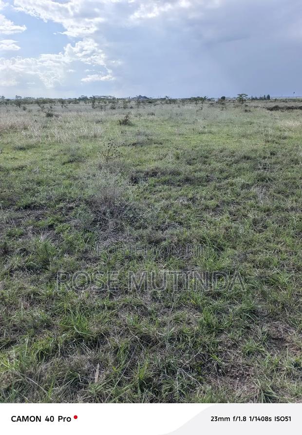 4acres at Misuuni - thumbnail 10