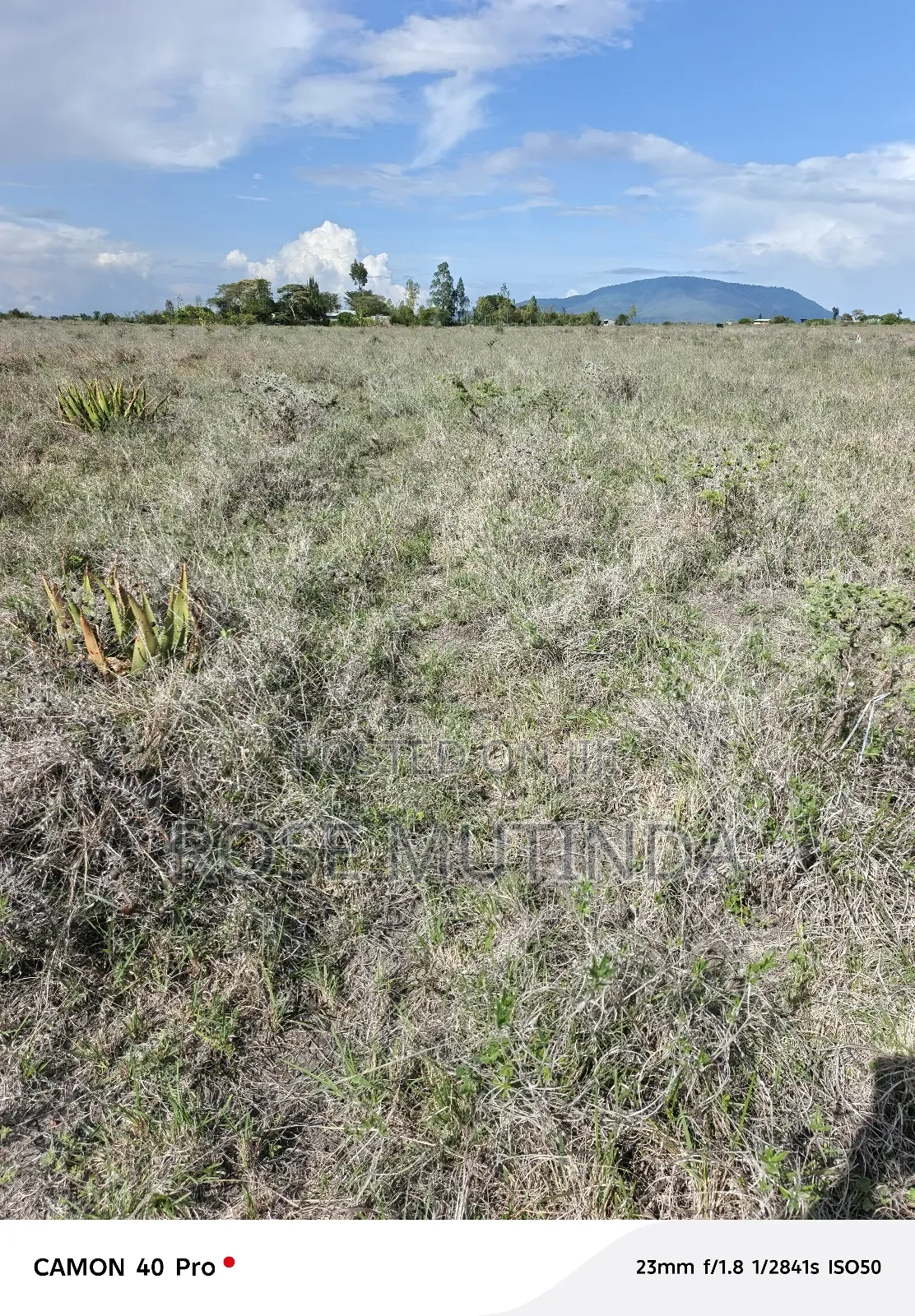4acres at Misuuni