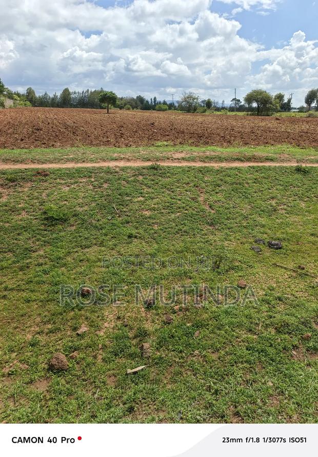 2acres at Nguluni - main view