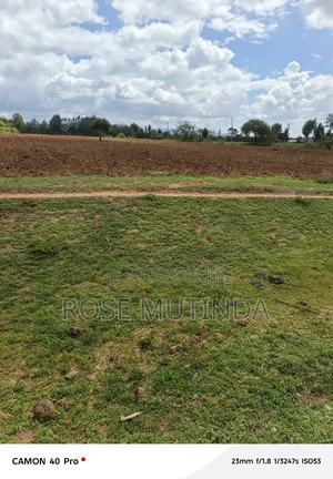 2acres at Nguluni
