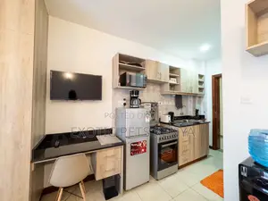 Furnished Studio Apartment in South Suites for rent