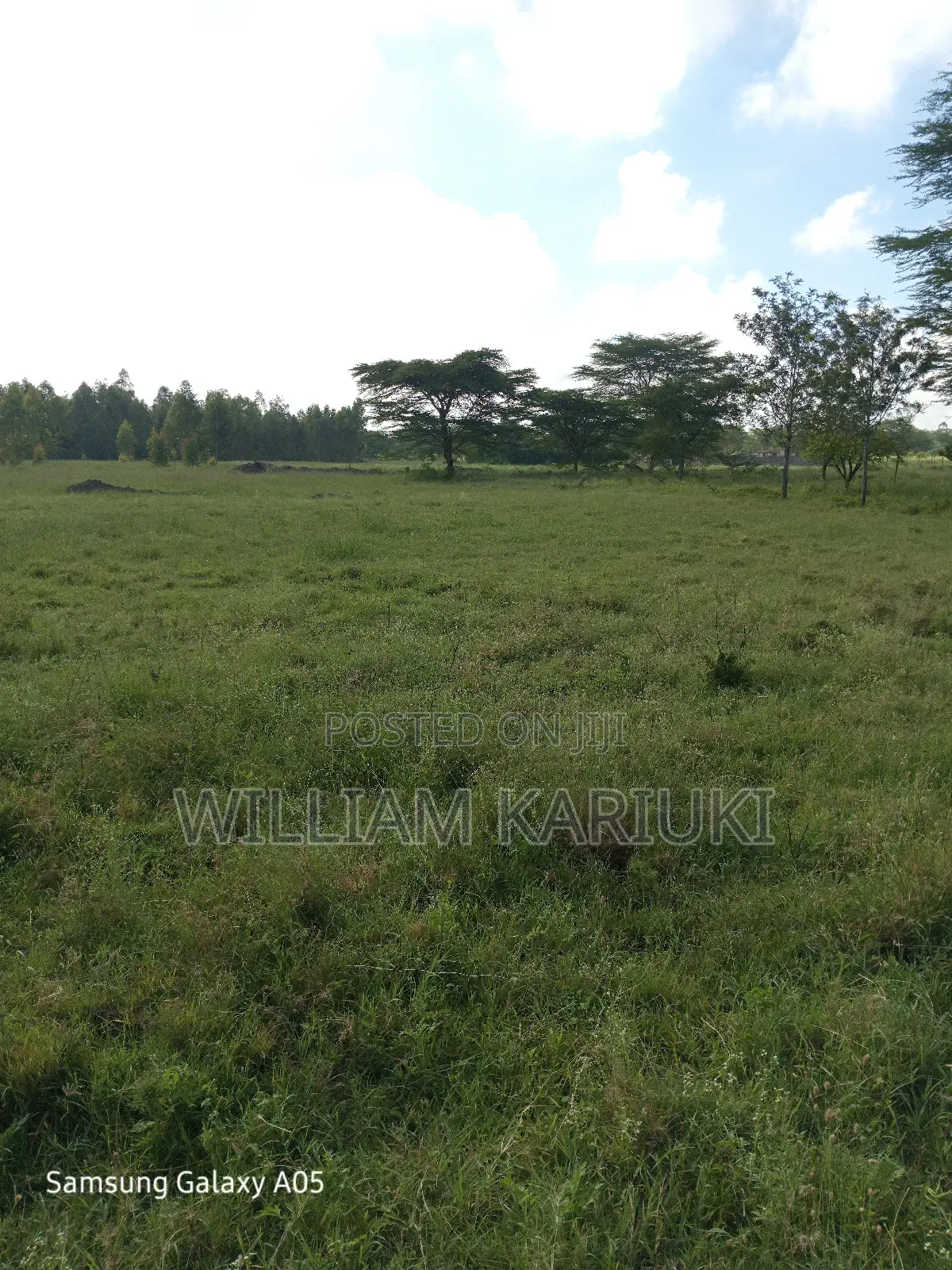 (40*80,40*60,30*90) Pieces of Land With Title Deed in Kamulu Athi