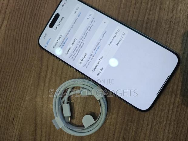 New Apple iPhone 15 Pro Max 256 GB Silver - thumbnail 4