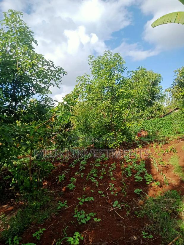 5 Acres on Sale Ta Kamahuha - thumbnail 4