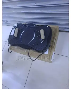 Home Vibrating Plate Full Body Exercise Machine