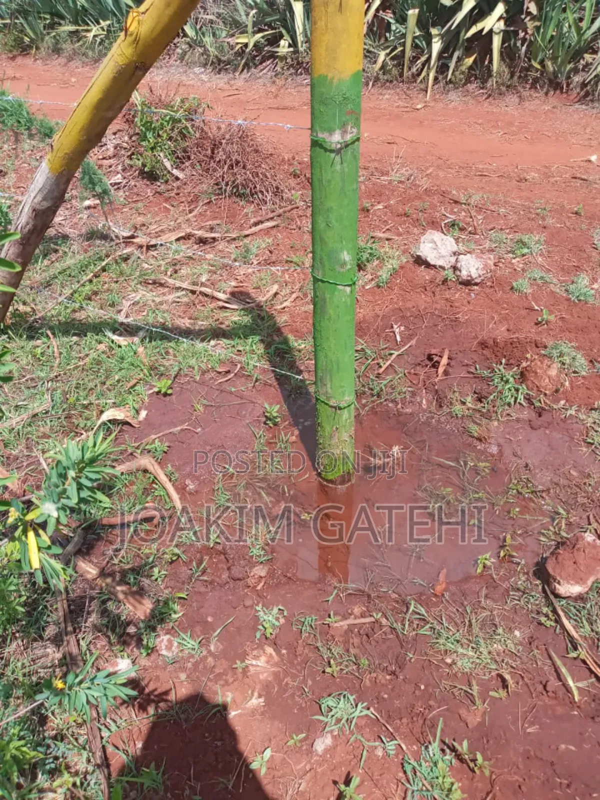 Neema Garden