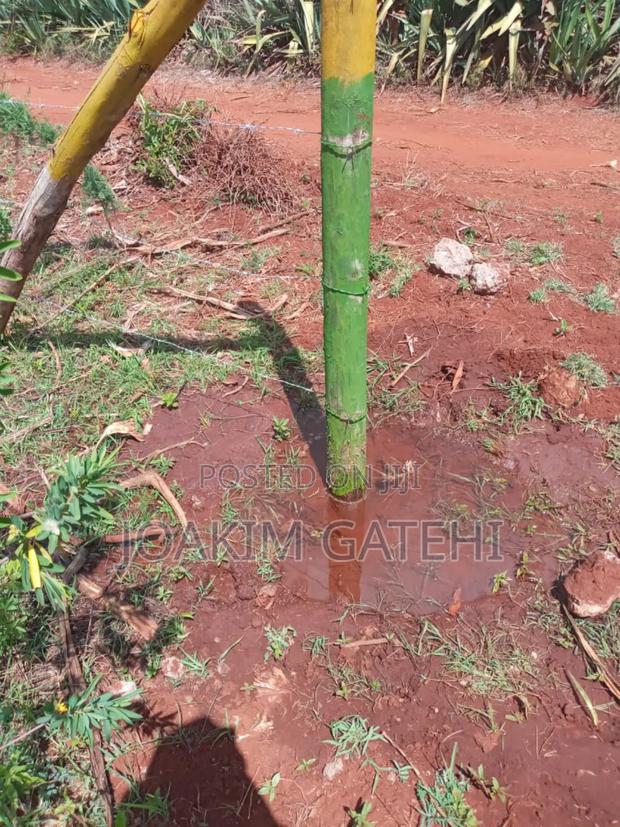 Neema Garden - main view