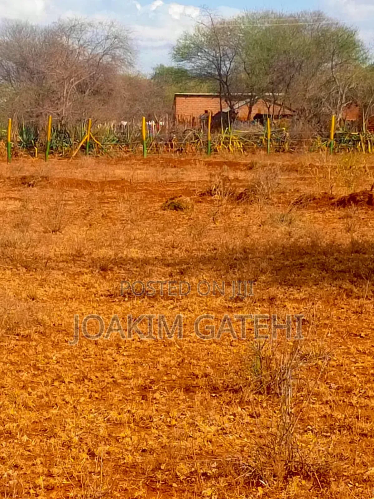 Neema Garden