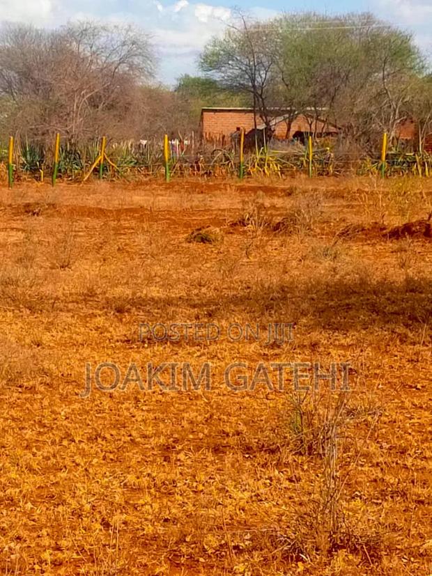 Neema Garden - thumbnail 4