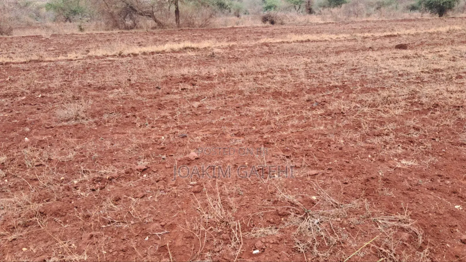 Neema Garden