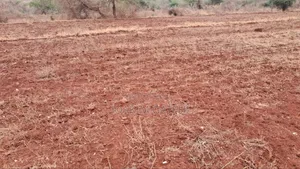 Neema Garden