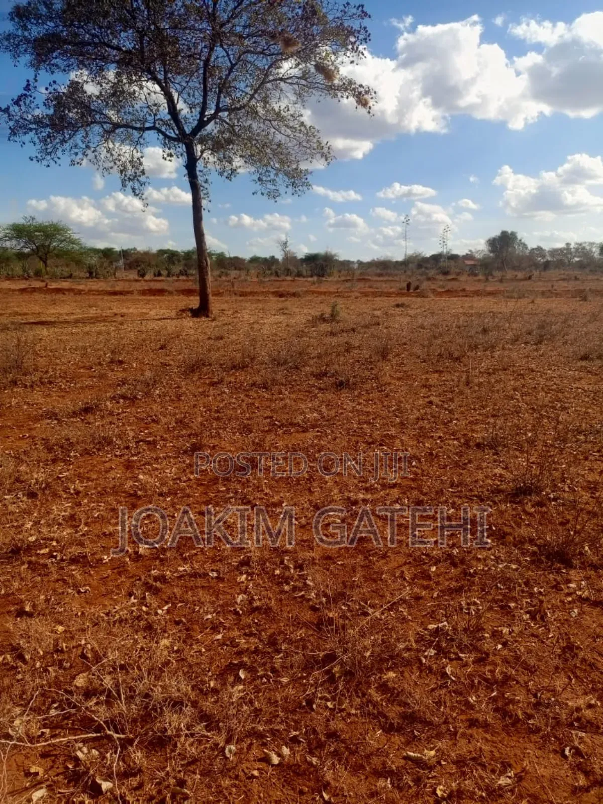 Neema Garden