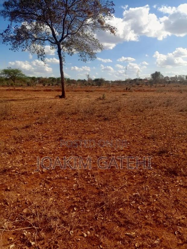 Neema Garden - thumbnail 7