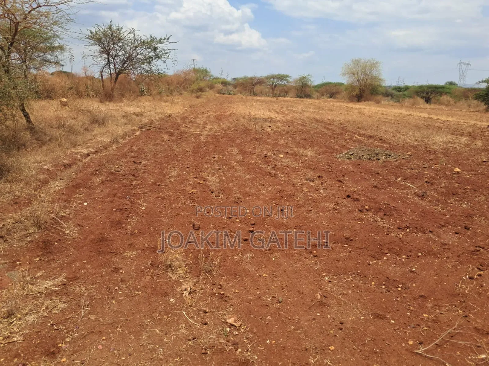 Neema Garden