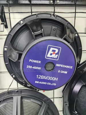 Bm Naked 12 Inch Speaker