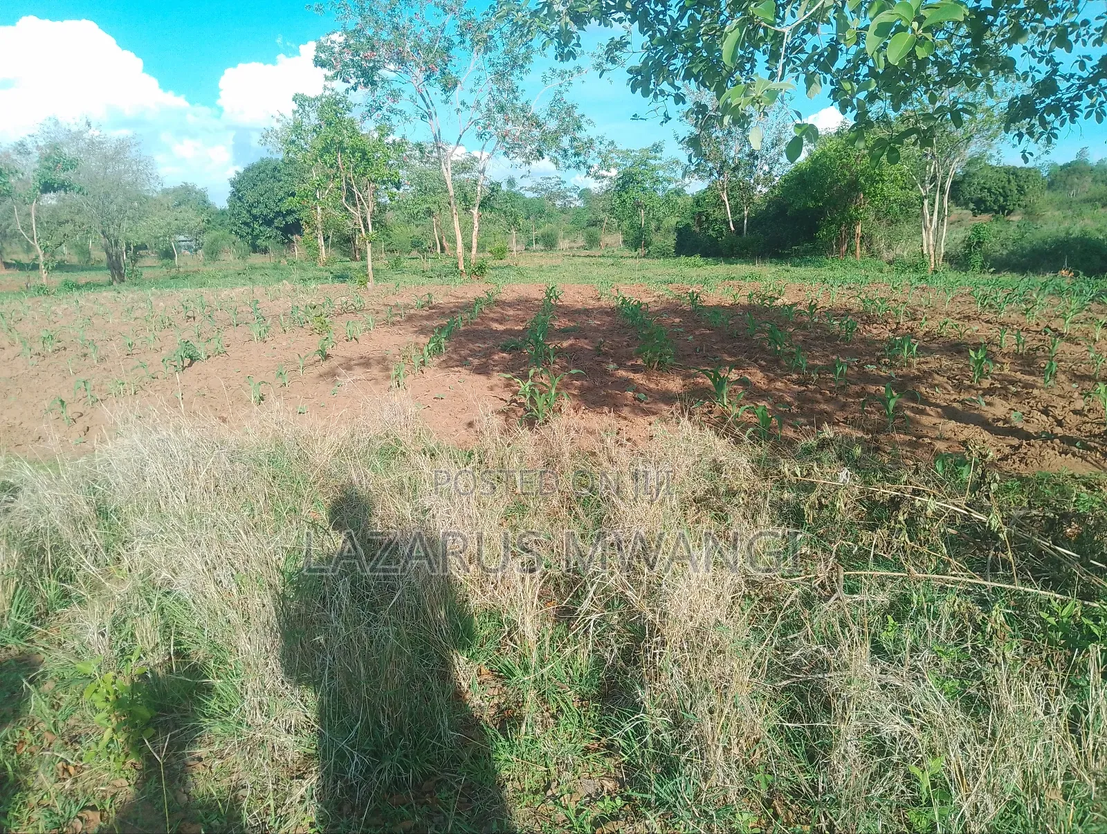 2 Acres Of Land At Kiritiri Area With Title