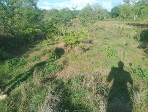 2 Acres Of Land At Kiritiri Area With Title
