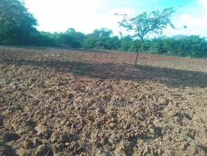 2 Acres Of Land At Kiritiri Area With Title