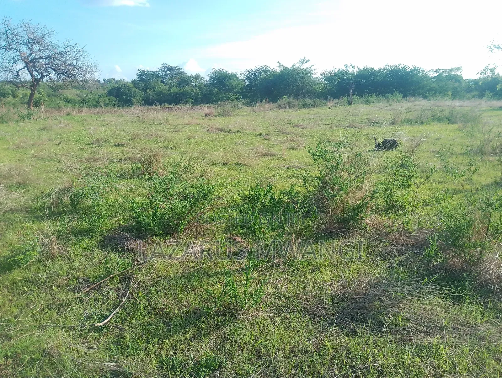 2 Acres Of Land At Kiritiri Area With Title