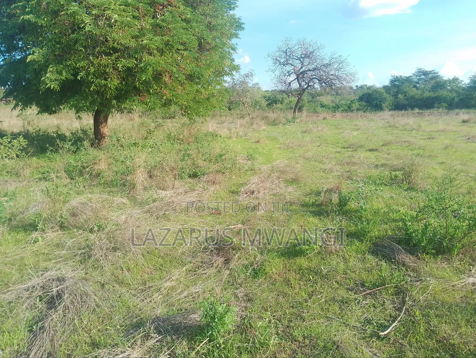 2 Acres Of Land At Kiritiri Area With Title
