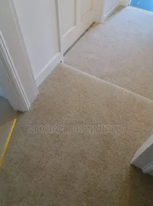 Luxury Wall-to-Wall Carpet – Perfect Bedroom Comfort
