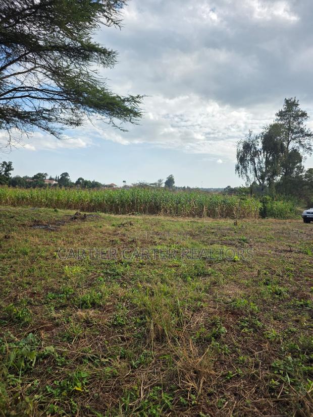 Land for Sale - thumbnail 2