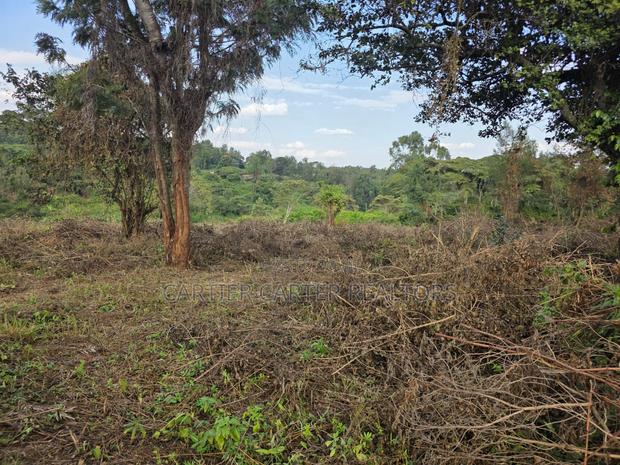Land for Sale - thumbnail 4