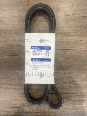 V Ribbed Belt