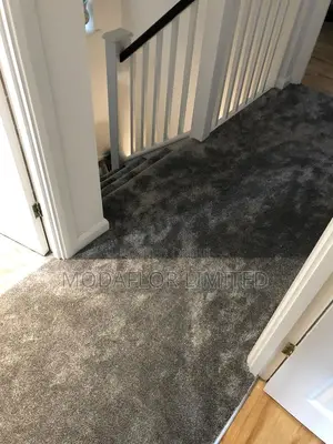 Affordable Wall-to-Wall Carpets – Soft Elegant