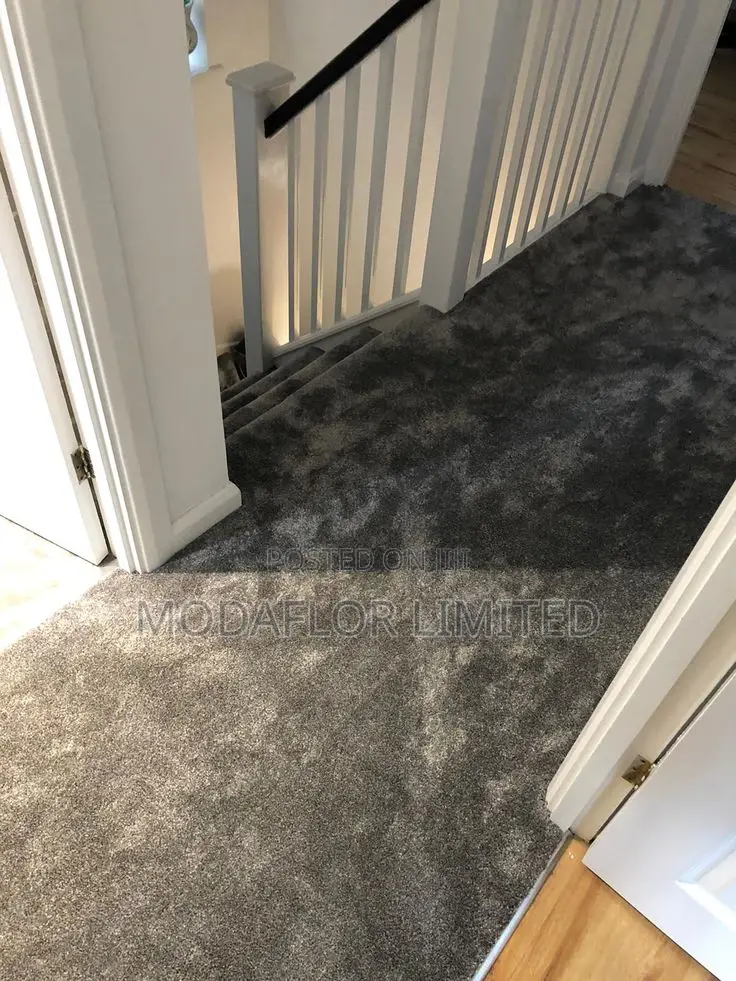 Affordable Wall-to-Wall Carpets – Soft Elegant