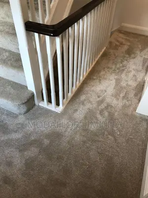 Heavy Duty Wall-to-Wall Carpets – Perfect for Offices