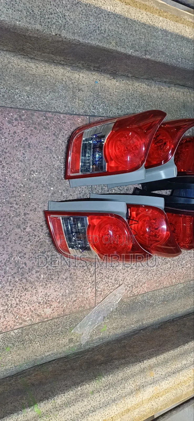 Fielder 141 Backlight 2010 Model