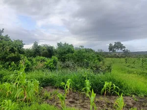 Prime 65 Acres Block