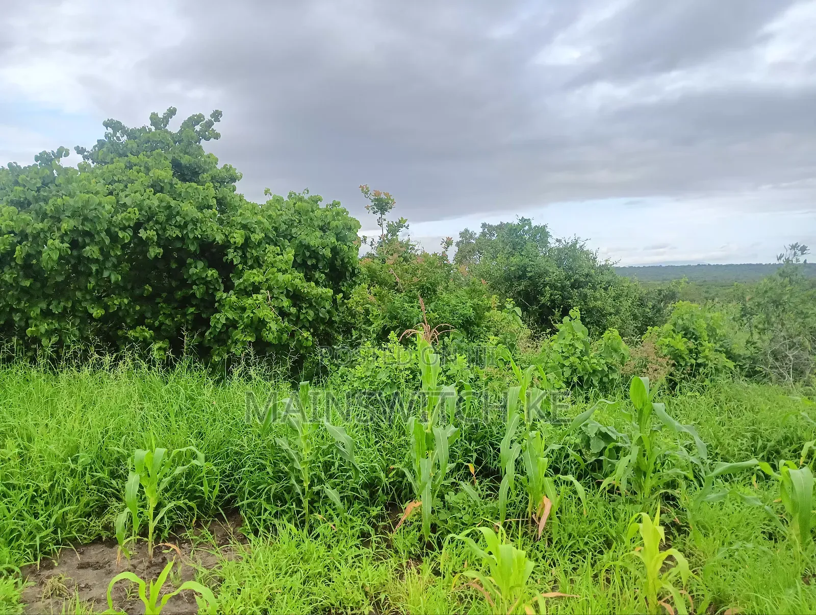 Prime 65 Acres Block