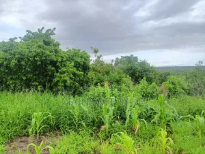 Prime 65 Acres Block