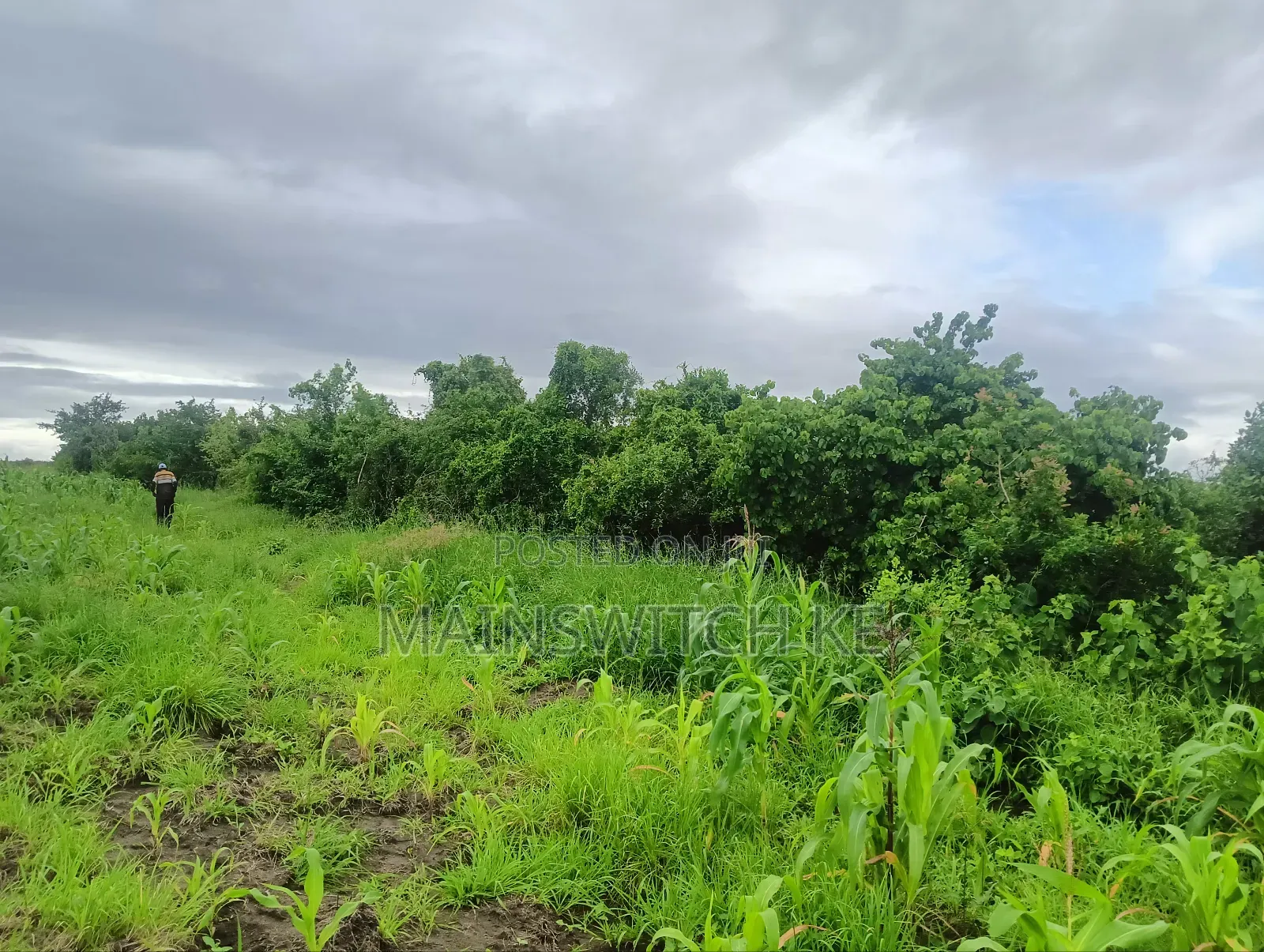 Prime 65 Acres Block
