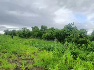 Prime 65 Acres Block