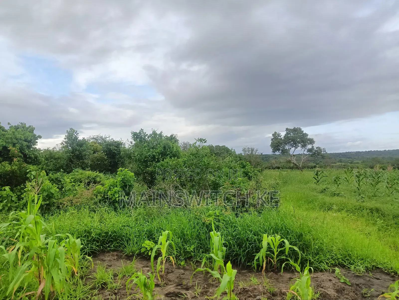 Prime 65 Acres Block