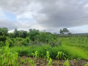 Prime 65 Acres Block