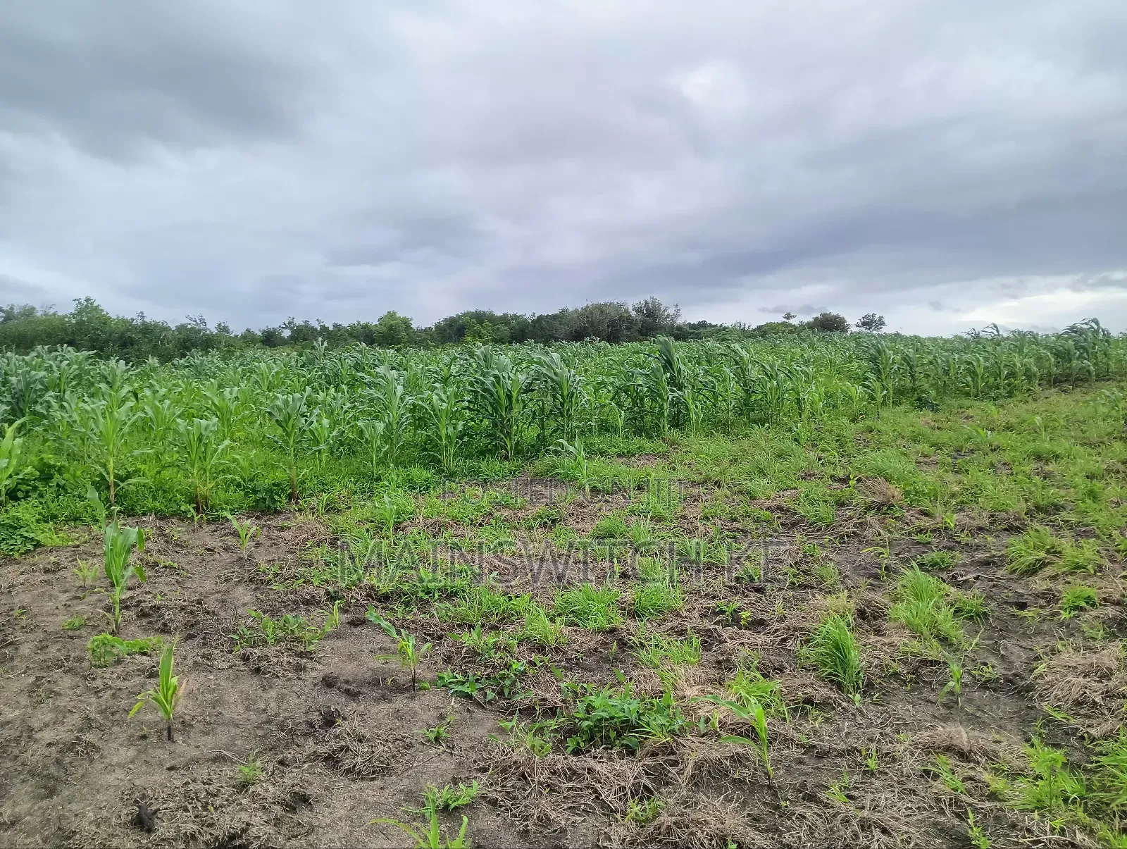 Prime 65 Acres Block