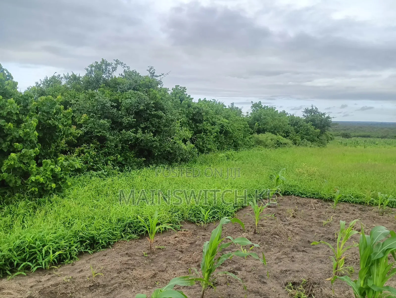 Prime 65 Acres Block