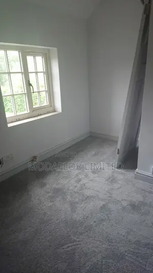 Elegant Wall-to-Wall Carpets – Perfect Home Makeover