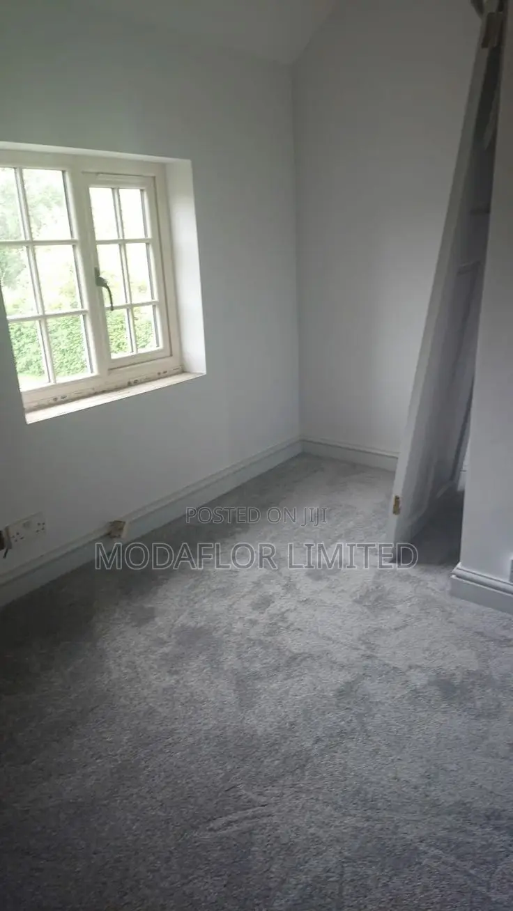 Elegant Wall-to-Wall Carpets – Perfect Home Makeover