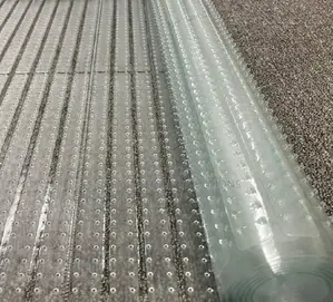 Easyclean Carpet Protector