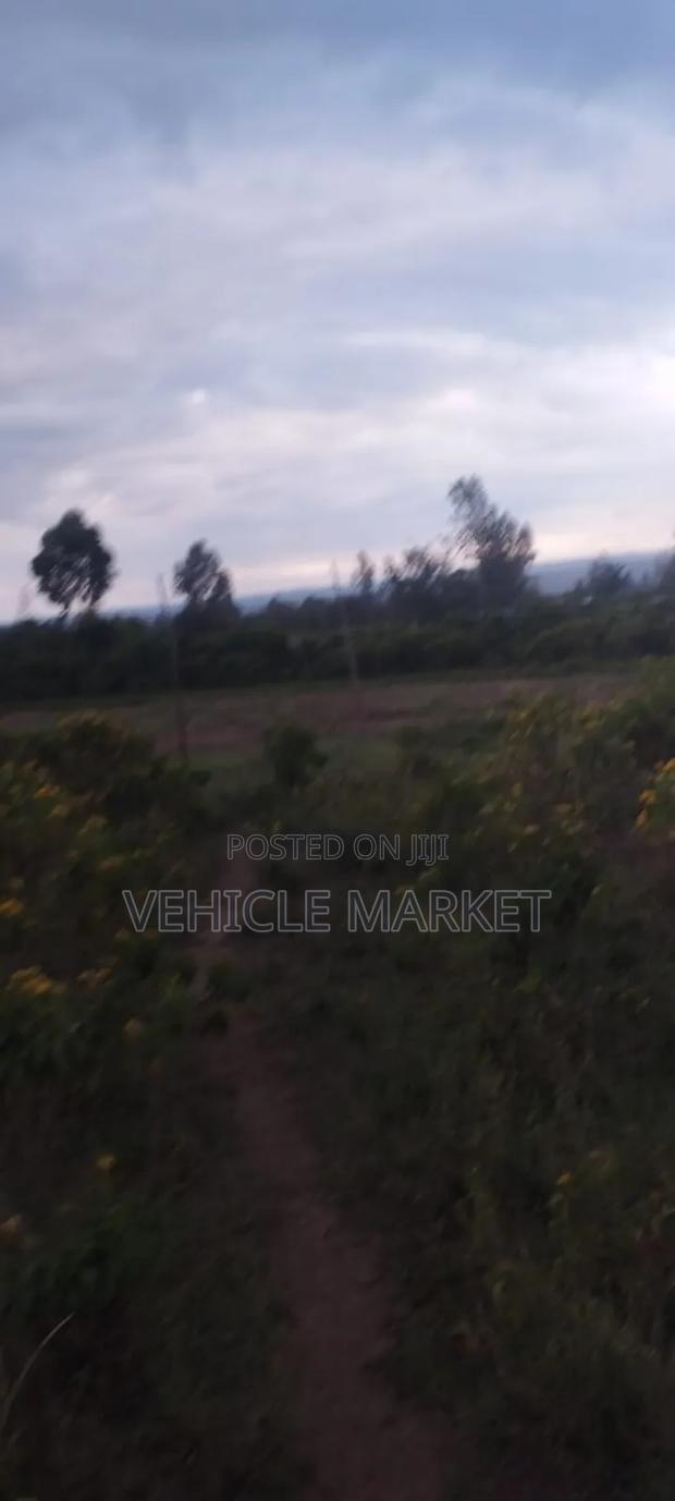 Plots for Sale Naivasha - thumbnail 7